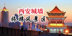 野外露鲍中国陕西-西安城墙旅游风景区